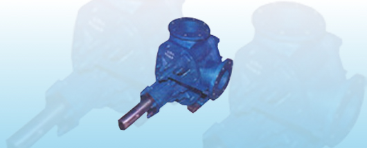 Solid Handling Pumps